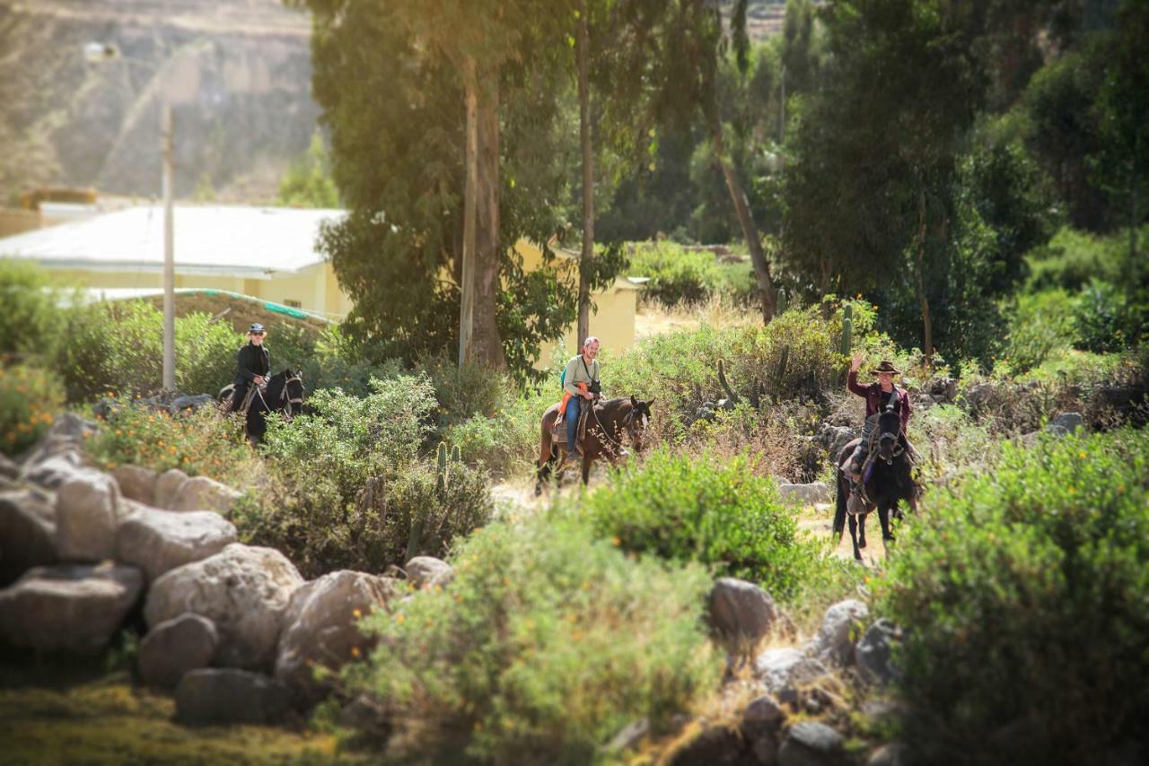 Le Foyer Colca Hotel Yanque ภายนอก รูปภาพ